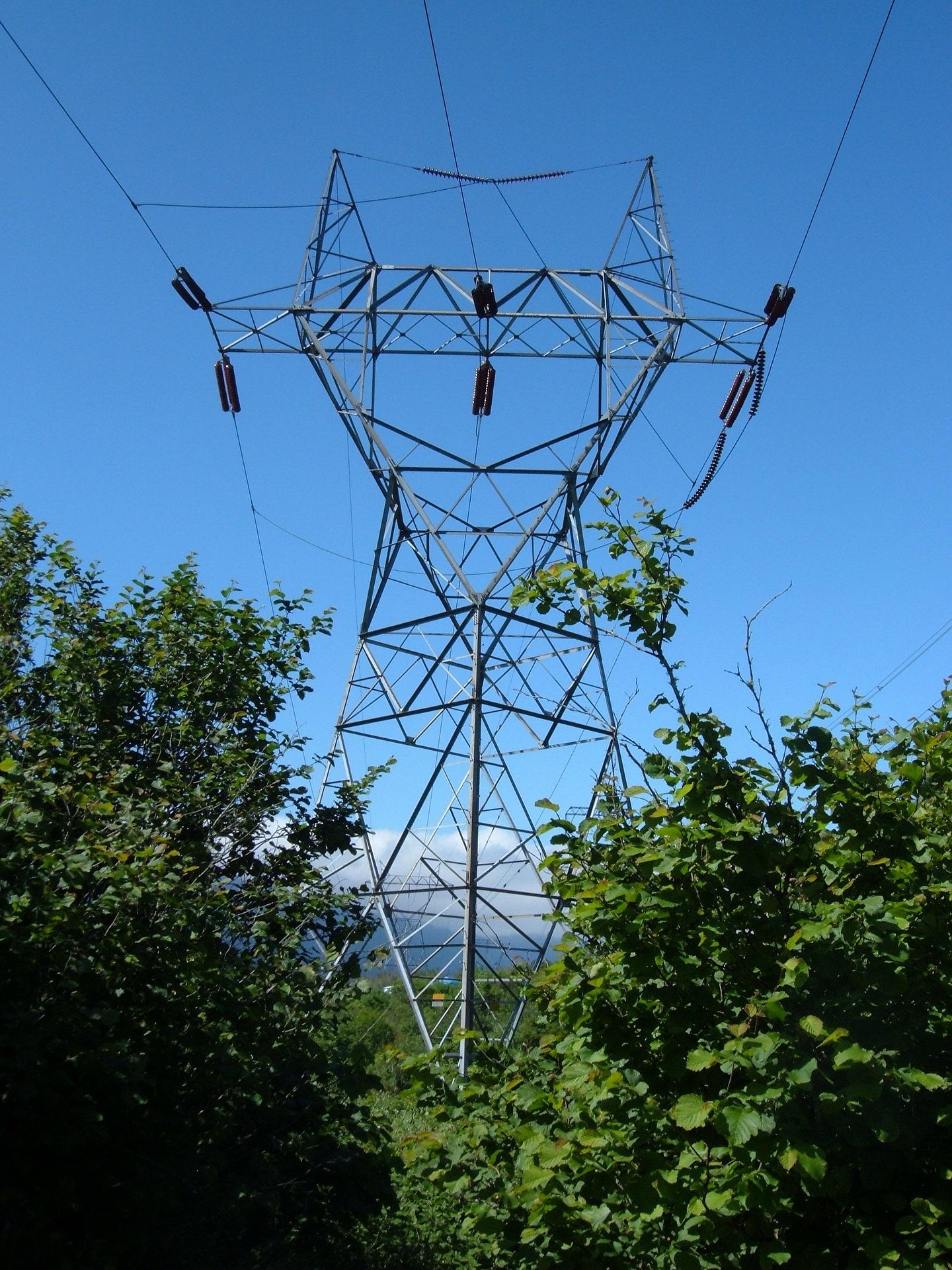 Transmission line drone inspection software